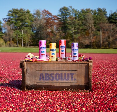 Cran You Believe It Absolut and Ocean Spray Introduce New Ready-To-Drink Cocktails (CNW Group/Corby Spirit and Wine Communications)