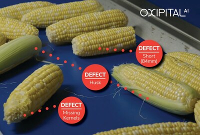 Oxipital AI's visual AI inspection solutions identify and classify defects at any production stage to optimize quality, reduce waste, and improve margins. This all-in-one system is easily integrated and can replace manual quality control tasks, performing high-reliability defect detection on 100 percent of items produced at full production rates.