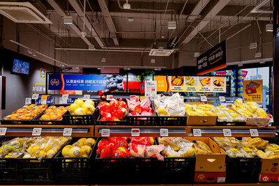 Unable to view the image, Please provide a valid URL.