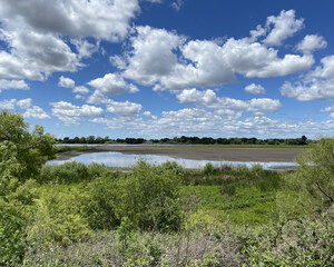 Floodplain and Tidal Wetland Restoration in the Sacramento Valley