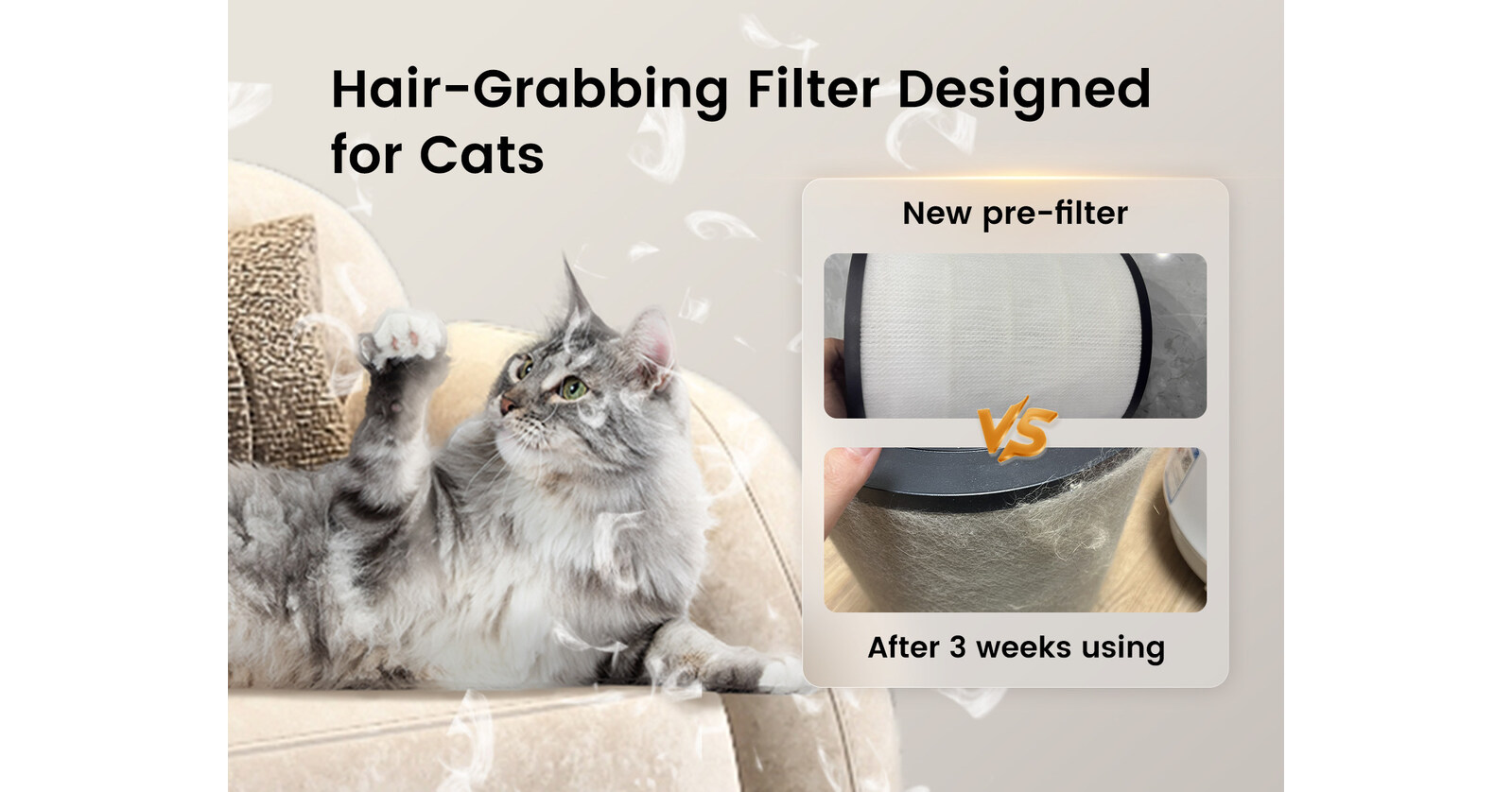 Halloween 2024: Wisesky Drives New Trend of Healthy Living with Early Bird Black Friday Deal on Its Advanced W-Cat Air Purifier Designed Specifically for Cats