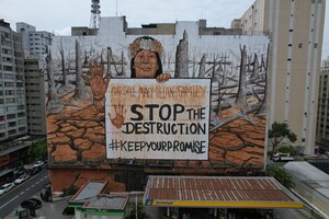 US Billionaires Called On to End Forest Destruction in Mega Mural by Famous Brazilian "Artivist"