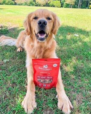 STELLA &amp; CHEWY'S LAUNCHES E-COMMERCE PLATFORM TO MAKE RAW FEEDING AND TREATING MORE ACCESSIBLE FOR PET PARENTS