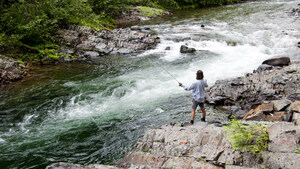 Watershed Security Fund Grant Recipients: Empowering Communities for Climate Resilience and Ecological Restoration in BC