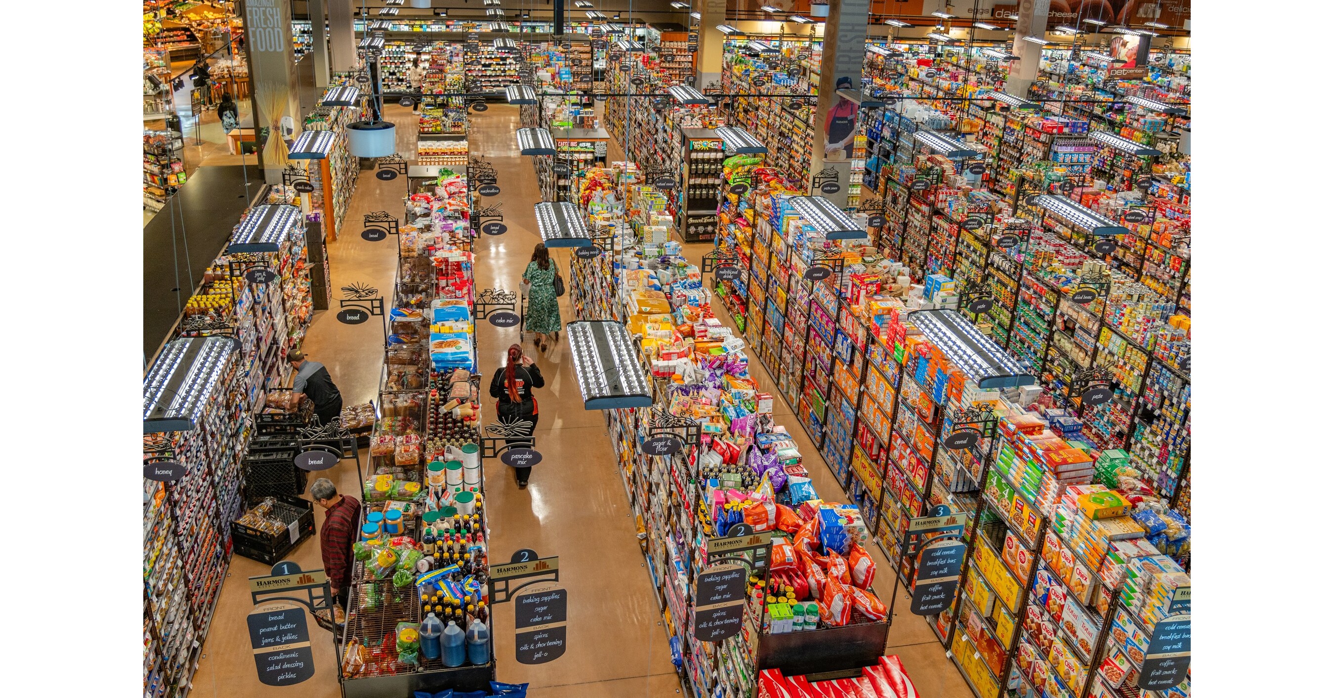 Axiom Foods Addresses PostChinese Tariff Pea Protein Market Challenges