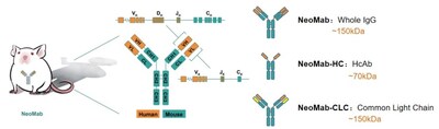 Features of NeoMab. (PRNewsfoto/NeoMab Bio)