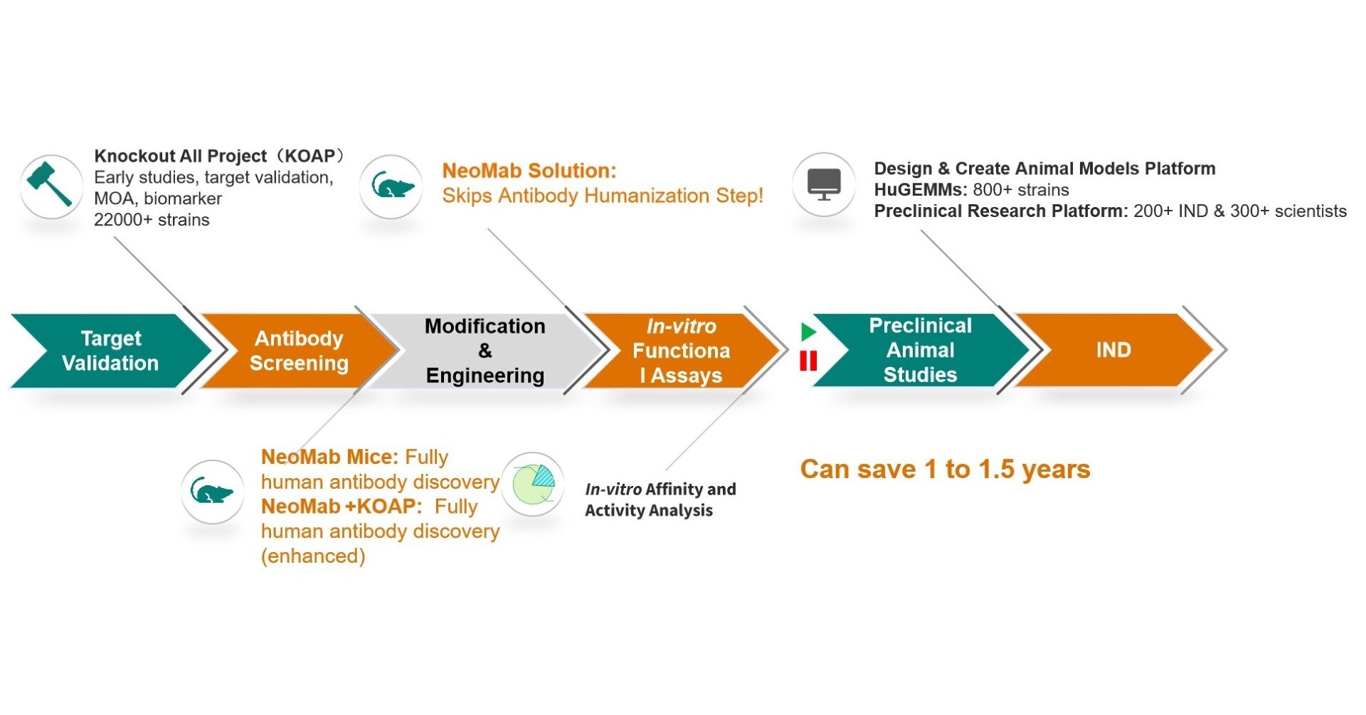 NeoMab Fully Human Antibody Discovery Platform: A New Flexible Mouse Purchase Model Leading a New Trend in Antibody Drug Development
