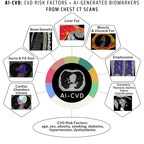 AI-CVD components includes AutoChamber, AutoBMD, and several other opportunistic measurements in a CAC scan.