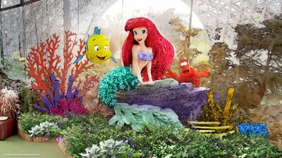 Garden of Wonder - The Little Mermaid