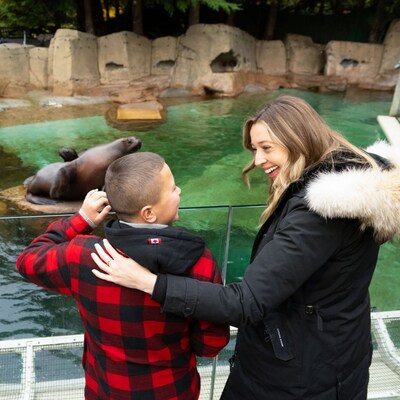 Soak Up the Magic of This Holiday Season at Vancouver Aquarium