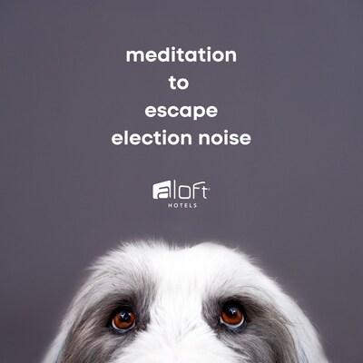 Mediation to Escape Election Noise