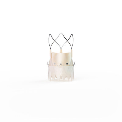 ACURATE neo2™ Aortic Valve System