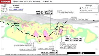 Figure 4: Pinion Long Section – additional mineralization outside pit limits (CNW Group/Orla Mining Ltd.)