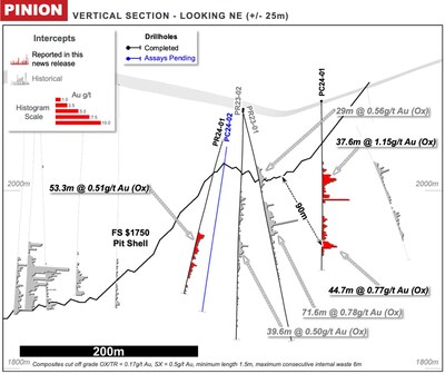 Figure 5: Pinion Cross Section – additional mineralization outside pit limits (CNW Group/Orla Mining Ltd.)