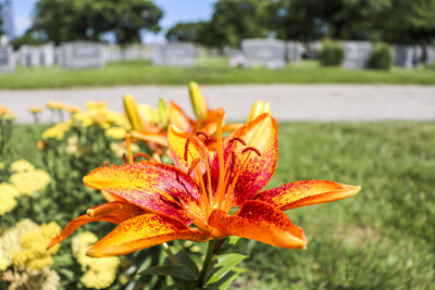 Our beautifully and impeccably landscaped cemetery grounds offer a variety of choices for families who prefer traditional in-ground burial options, including gazebo family estates. Different sections provide burial spaces with either flush memorial or upright monument lots.