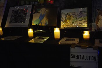 Volunteers of Pro-Animal Future organized a benefit concert featuring a silent auction to raise funds for the campaign.