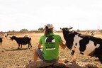 An activist pets a goat at Broken Shovels Sanctuary following a press conference where legal experts assert findings of criminal animal cruelty at Denver's slaughterhouse.