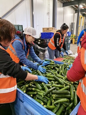 USANA Australia volunteers sorting food to help those in need in the country. 