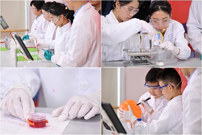 Unable to view the image, Please provide a valid URL.