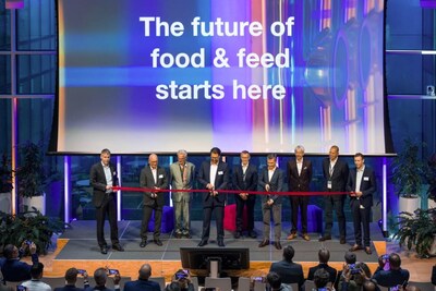 Unable to view the image, Please provide a valid URL.