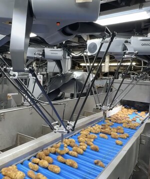 AI-Based Robotic Potato Sorter Improves Product Grading and Slashes Costs