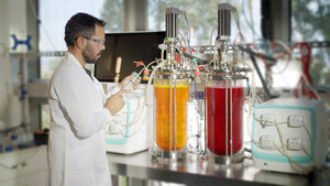 Natural Colors Startup Phytolon Secures Investment from Rich Products Ventures to help bring Innovative Natural Replacement for Synthetic Food Dyes to Market