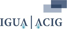 IGUA NAMES NEW PRESIDENT - JACOB IRVING APPOINTED PRESIDENT OF THE INDUSTRIAL GAS USERS ASSOCIATION (IGUA)