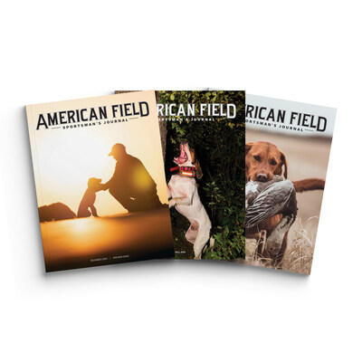 Available in print to subscribers by late December 2024! Steeped in tradition and with a legacy spanning over 150 years, the American Field Sportsman’s Journal by UKC is back in production as a leading authority for hunting dog enthusiasts.