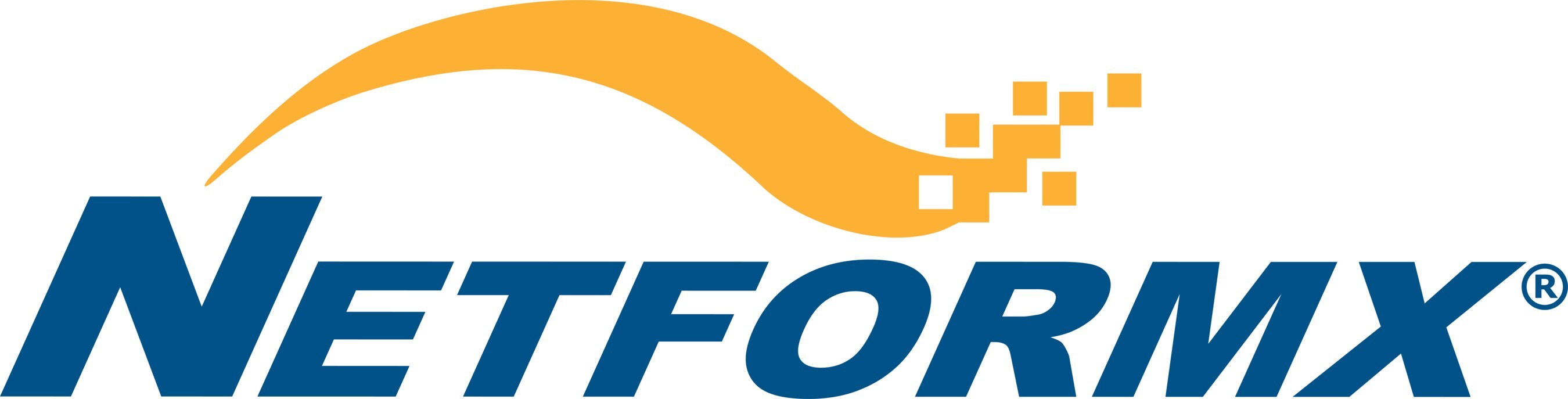 Netformx Logo