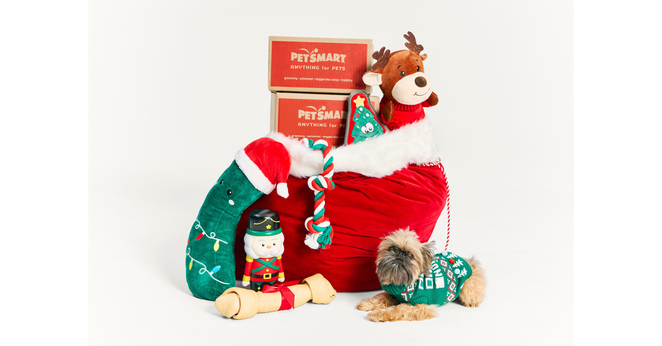 PetSmart Spreads Holiday Cheer with 2024 Merry & Bright Collection