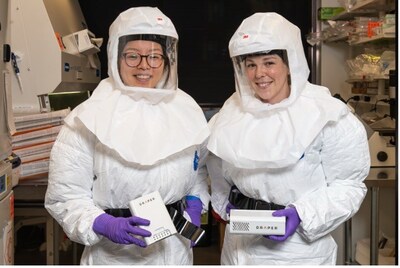 Draper researchers cultured and tested human bronchial epithelial cells in a biosafety level 3 high-containment lab, allowing them to evaluate the full viral life cycle of SARS-CoV-2. Credit: Draper