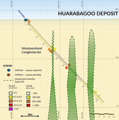 Figure 1. Cross section HB24DD004 looking northeast (window +/-10m), Refer Figure 3 for Plan view. (CNW Group/Laramide Resources Ltd.)