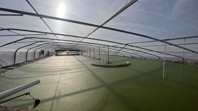 A greenhouse at Plantible’s new commercial plant, aka “The Ranchito,” a 100-acre facility located in West Texas