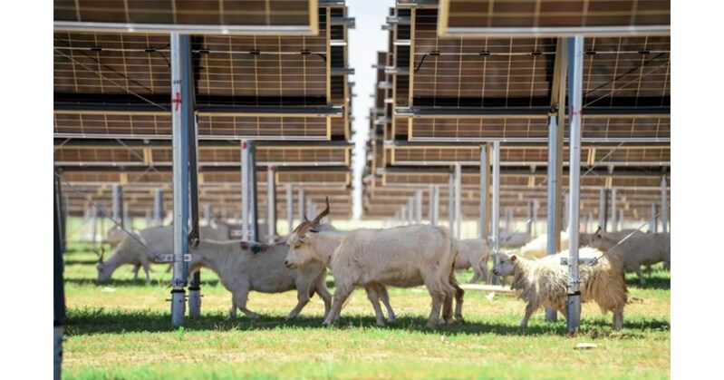 Arctech's SkyWings Empowers the World's Largest Single-Capacity PV Power Plant Built on Coal Mining Subsidence Area