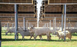 Arctech's SkyWings Empowers the World's Largest Single-Capacity PV Power Plant Built on Coal Mining Subsidence Area