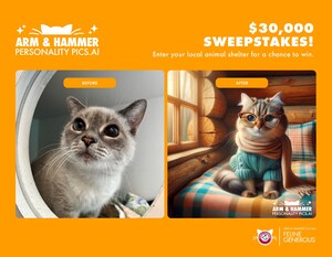 ARM &amp; HAMMER™ Cat Litter Unveils Social Sweepstakes to Boost Cat Adoption, Offering Shelters $30K and AI Personality Pics