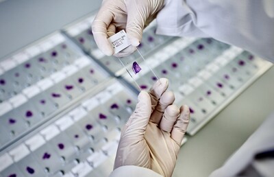 Unable to view the image, Please provide a valid URL.