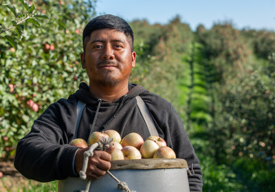 Apples from Timber Ridge Fruit Farm in Gore, VA, harvested as part of a record-breaking food rescue initiative from The Farmlink Project.