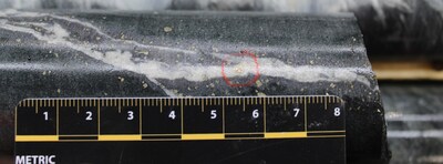 Figure 1: Photo of visible gold at 241.9 metres in hole O3MA-24-707 at Malartic H (CNW Group/O3 Mining Inc.)