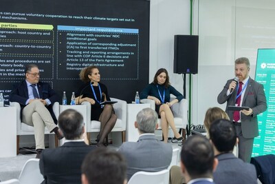 Reducing Emissions panel at COP29