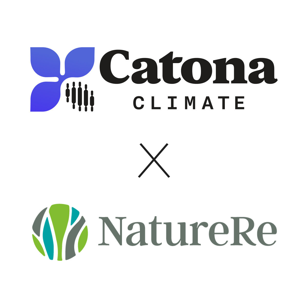 Catona Climate Invests Catalytic Capital to Restore Nature in Colombia