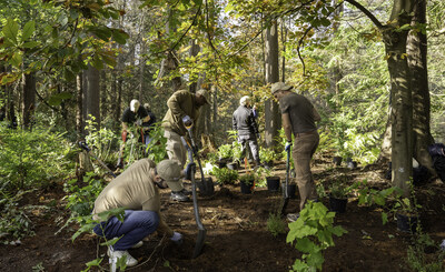 Tree Planting Activities - Nespresso Canada (CNW Group/Nestle Nespresso SA)