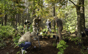 NESPRESSO CANADA RENOUVELLE SON ENGAGEMENT ENVERS ARBRES CANADA POUR UN AVENIR PLUS VERT