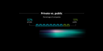 82% of the 2024 Deloitte North America Technology Fast 500 companies are private – the highest number of private companies named to the list in program history – while 18% are public.