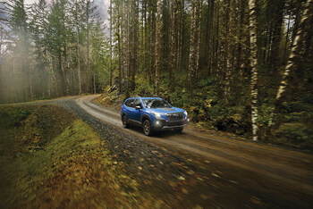 2025 Subaru Forester Wilderness