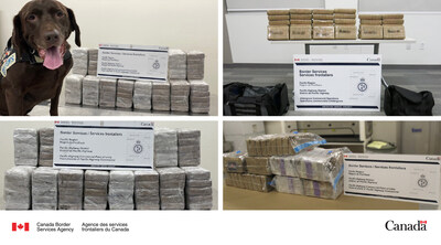 CBSA officers seize a combined 246 kg of cocaine at Aldergrove and Pacific Highway Commercial ports of entry. (CNW Group/Canada Border Services Agency)