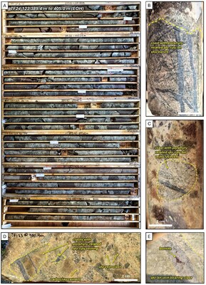 Figure 4. Core photos of TF24-123. A. Box photos showing core from 389.4 to 405.0 meters (EOH) downhole. Zones of bleaching in the matrix caused by clay + carbonate alteration. Larger subrounded purple clasts are plagioclase-phyric andesite, B and C. Examples of rounded intrusive clasts with porphyry-related mineralization (quartz-chalcopyrite-bornite stockwork). D. Polymictic breccia near the bottom of the drill hole with mineralized and quartz vein clasts set in a clay + carbonate cement. E. Example of quartz vein with bornite cutting porphyry clast. Abbreviations: qtz = quartz, cpy = chalcopyrite, bn = bornite, carb = carbonate. (CNW Group/Vizsla Copper Corp.)