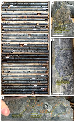 Figure 5. Core photos of the upper breccia zone in TF24-126. A. Box photos showing core from 499.75 to 528.2 meters downhole. An increase in mineralized clasts at 515.0 meters resulted in a 12.3 meter interval of 0.25 g/t gold with 0.20% copper. B. Example of brecciated and potassically altered intrusive clast with fine quartz-chalcopyrite-magnetite stockwork. C. Mineralized clast with quartz-chalcopyrite-magnetite vein. D. Polymictic breccia showing mineralized clasts, potassically altered intrusive clasts, hornblende-phyric diorite clasts, and plagioclase-phyric andesite clasts set in a fine-grained magmatic(?) matrix. Abbreviations: qtz = quartz, cpy = chalcopyrite, mgt = magnetite (CNW Group/Vizsla Copper Corp.)