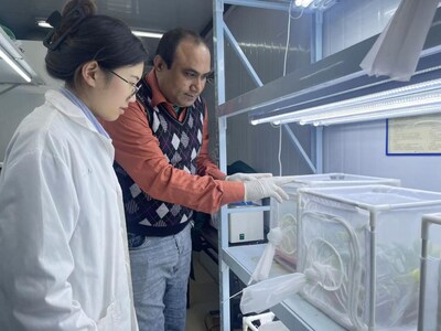 Pakistani researcher Muhammad Salman Hameed, currently working as an assistant professor at Central China Normal University, inspires students through his dedication to research and discovery.