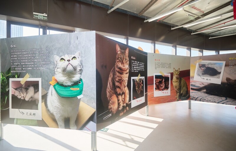 Unable to view the image, Please provide a valid URL.